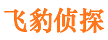 汉南市私家侦探